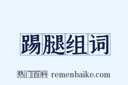 踢腿组词是什么意思的图片
